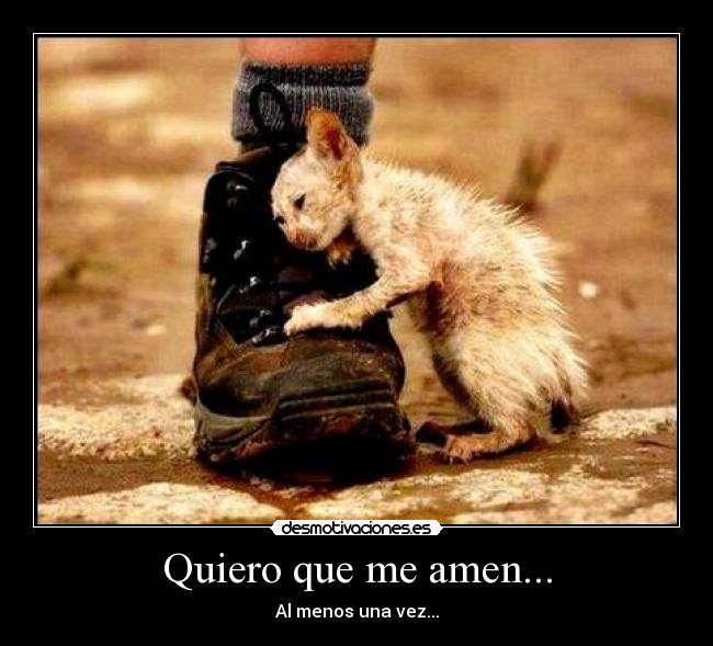 Quiero que me amen... - 