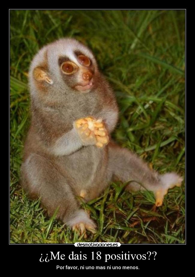 ¿¿Me dais 18 positivos?? - 