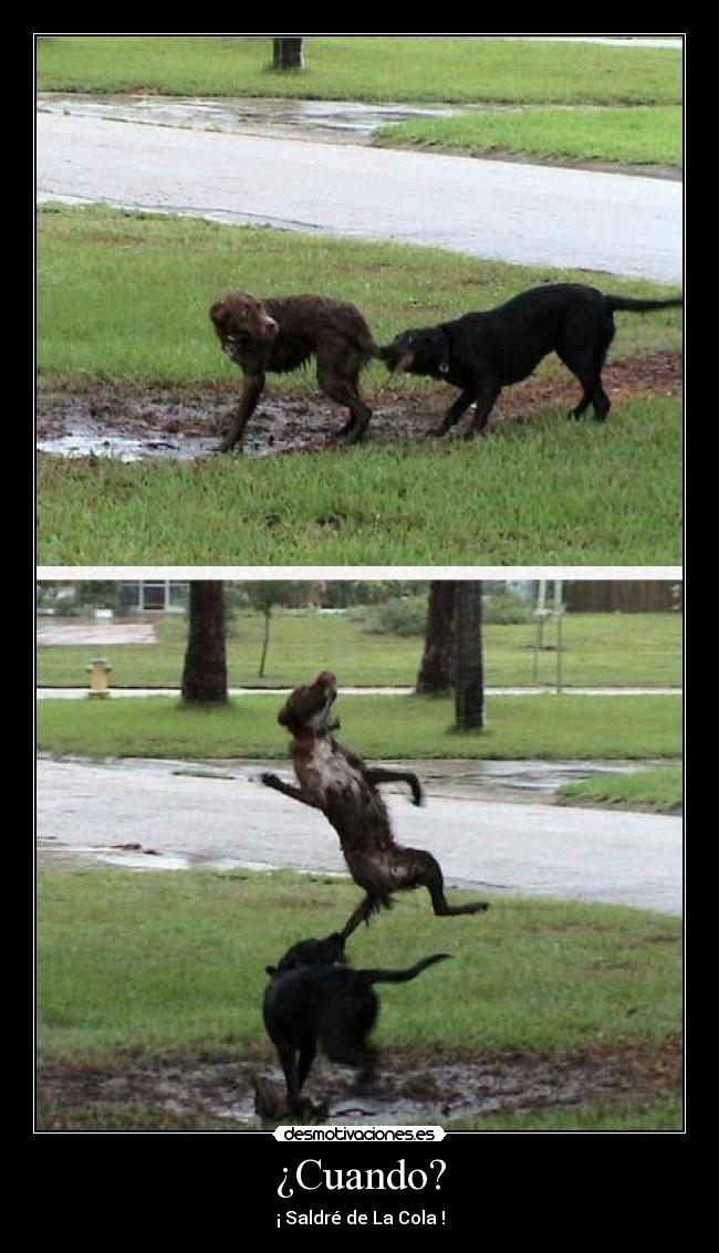 ¿Cuando? - ¡ Saldré de La Cola !