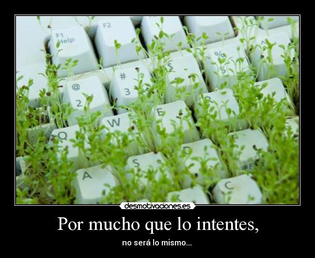 carteles mariuki desmotivaciones