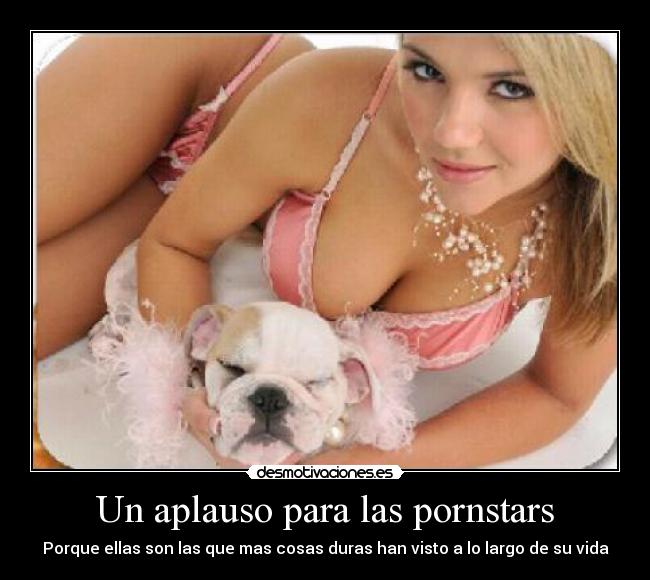 Un aplauso para las pornstars -
