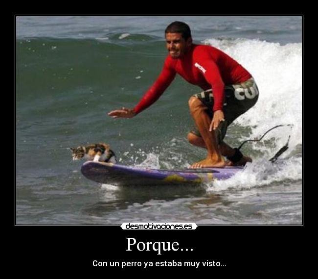 Porque... - Con un perro ya estaba muy visto...