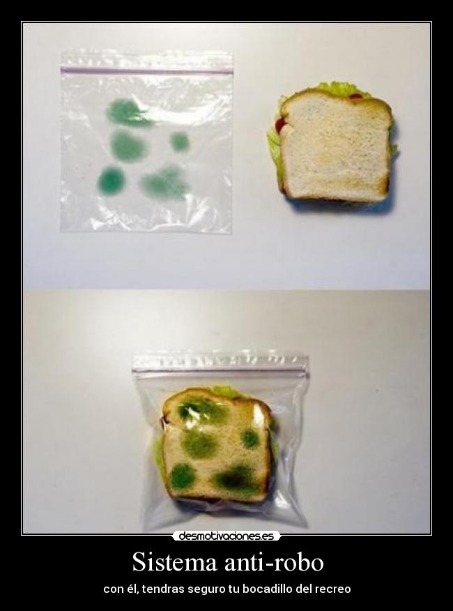 Sistema anti-robo - 