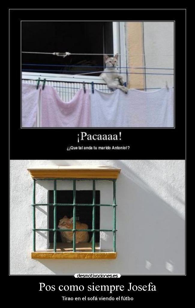 Pos como siempre Josefa - 