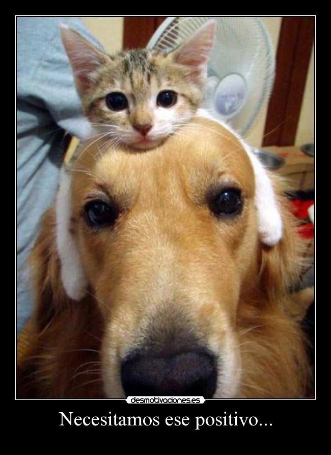 Necesitamos ese positivo... -