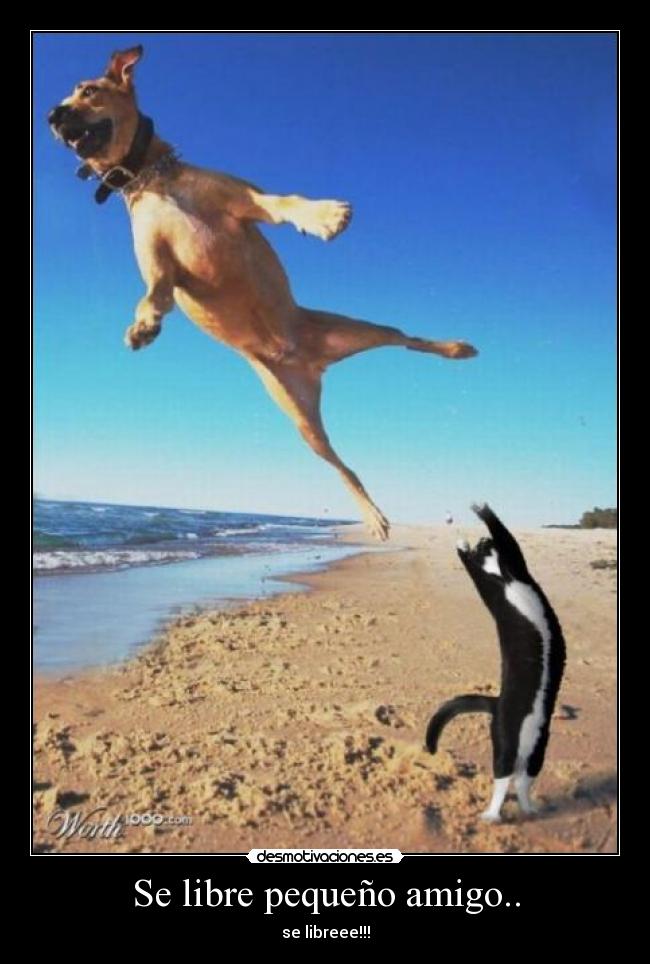 Se libre pequeño amigo.. -