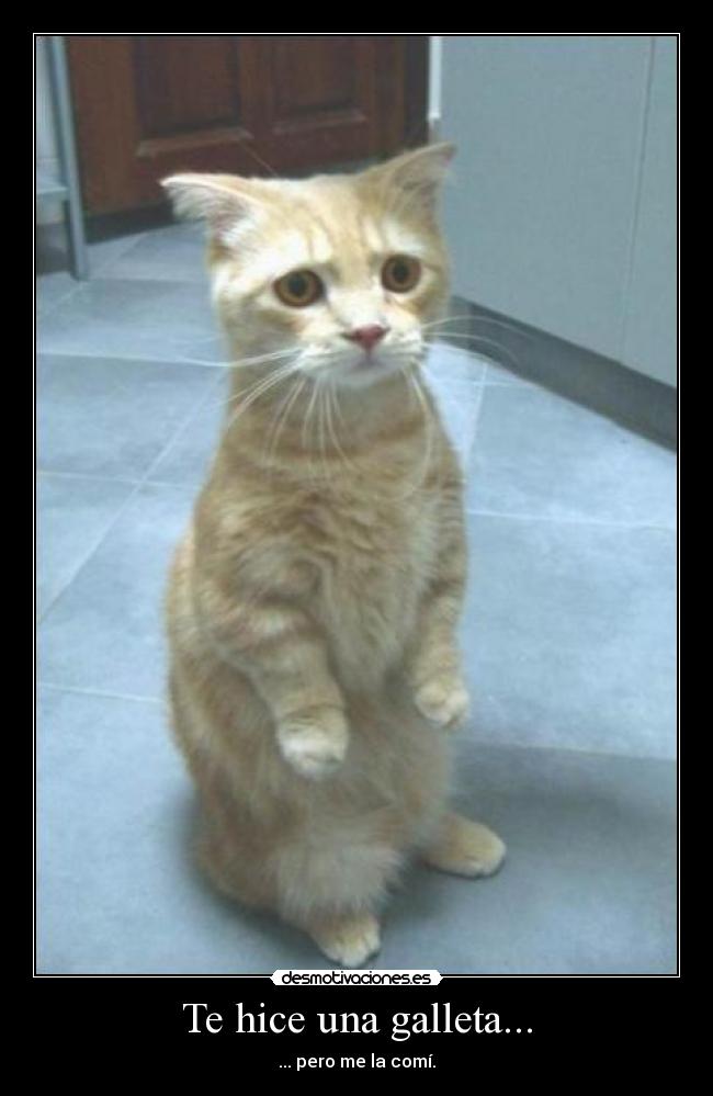 Te hice una galleta... - 