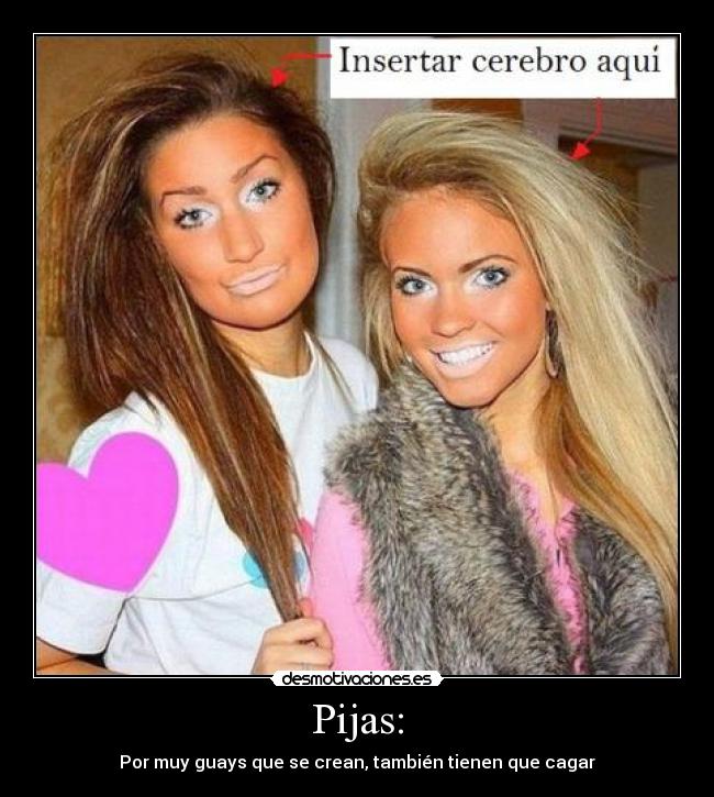 carteles pijas cagar guay guays insertar cerebro tonta tontas maquillaje desmotivaciones