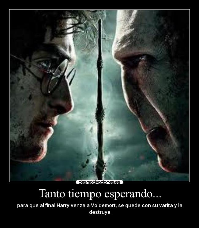 Tanto tiempo esperando... - para que al final Harry venza a Voldemort, se quede con su varita y la destruya