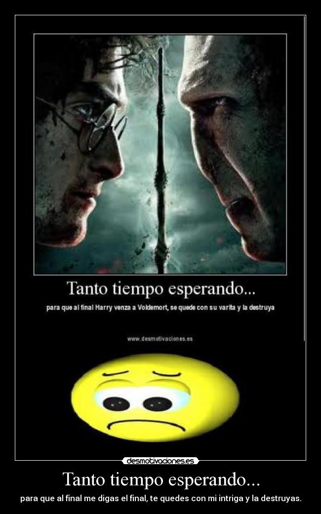carteles tanto tiempo harry voldemort final desmotivaciones