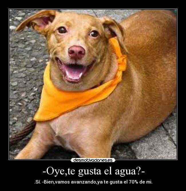 -Oye,te gusta el agua?- -