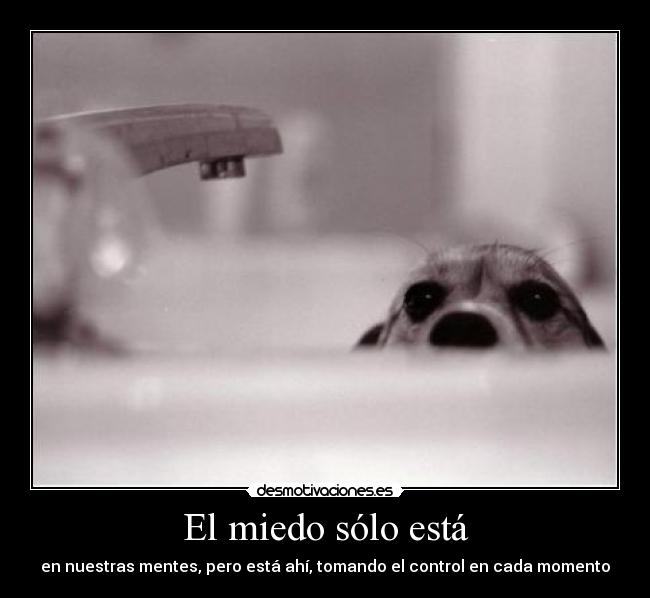 El miedo sólo está - 