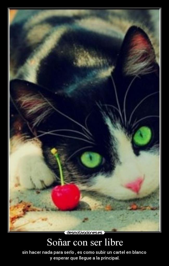 Soñar con ser libre - sin hacer nada para serlo , es como subir un cartel en blanco
y esperar que llegue a la principal.