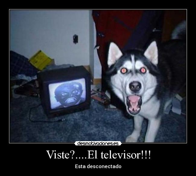Viste?....El televisor!!! - Esta desconectado