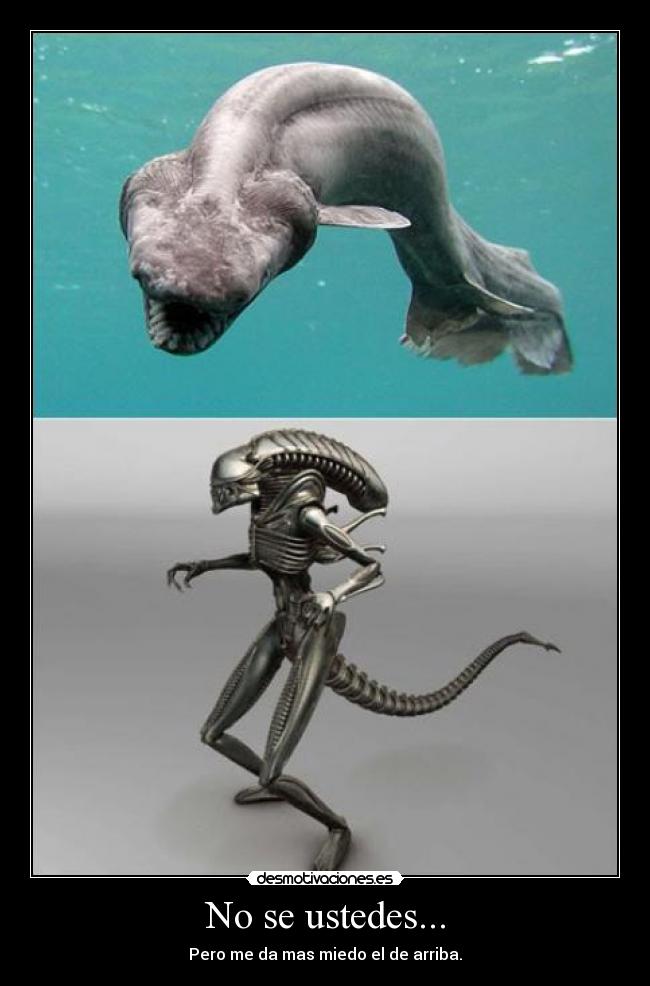 No se ustedes... - Pero me da mas miedo el de arriba.