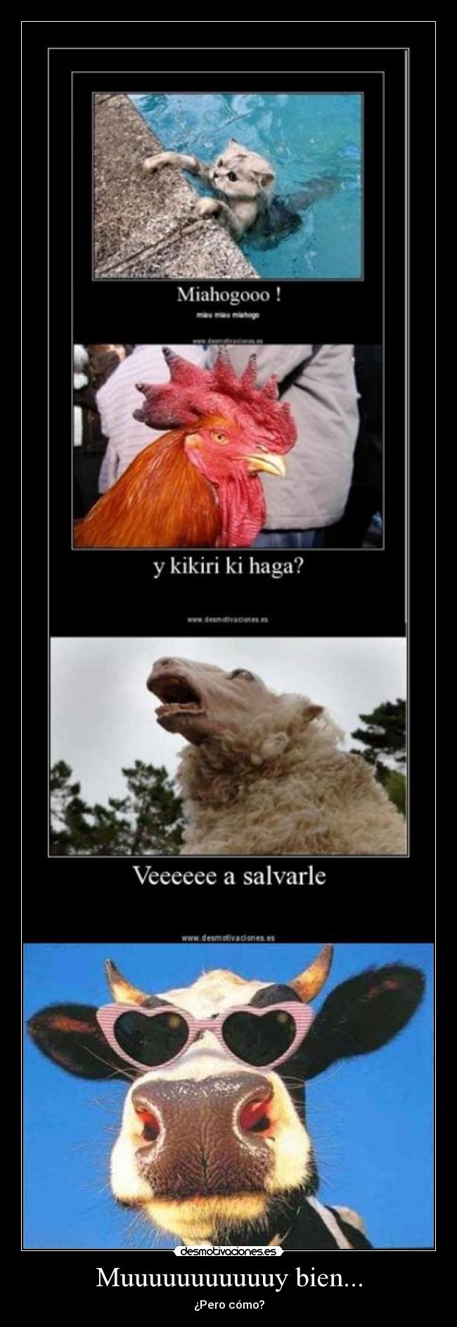 Muuuuuuuuuuuy bien... - 