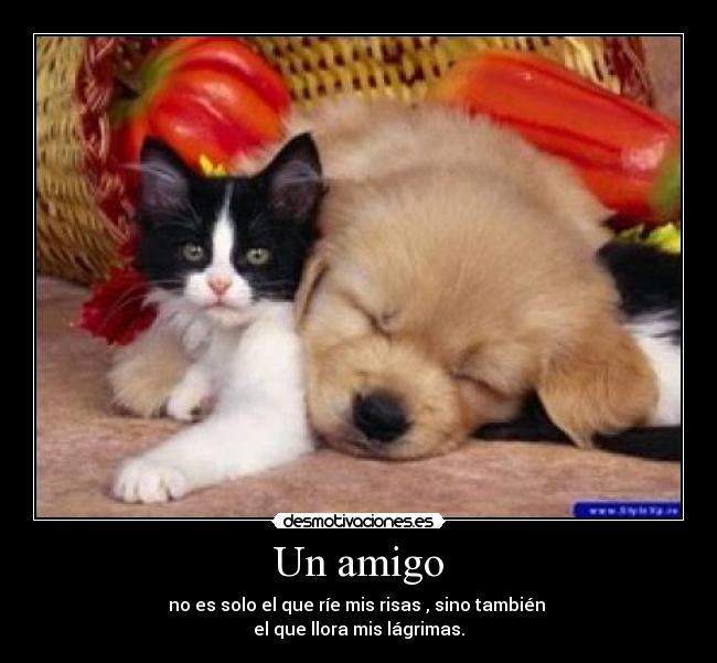 Un amigo - no es solo el que ríe mis risas , sino también
el que llora mis lágrimas.