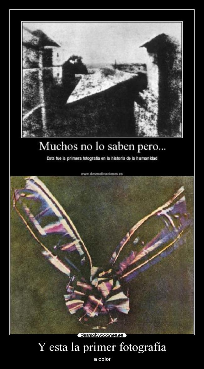 carteles fotografia desmotivaciones