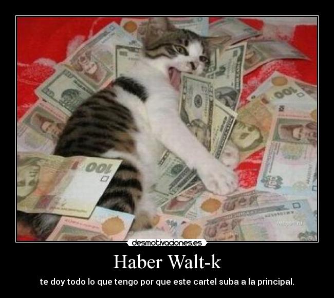 Haber Walt-k - 