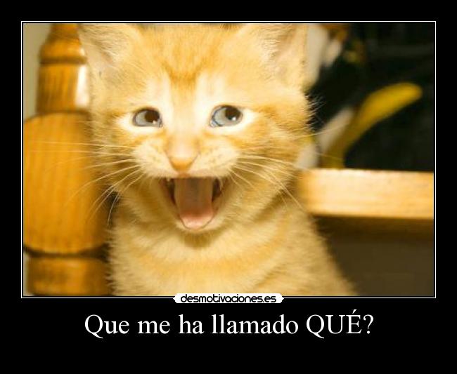 carteles wwwdesmotivacioneses desmotivaciones