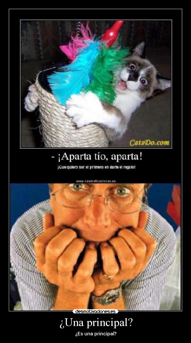 ¿Una principal? -
