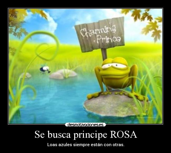 Se busca principe ROSA -