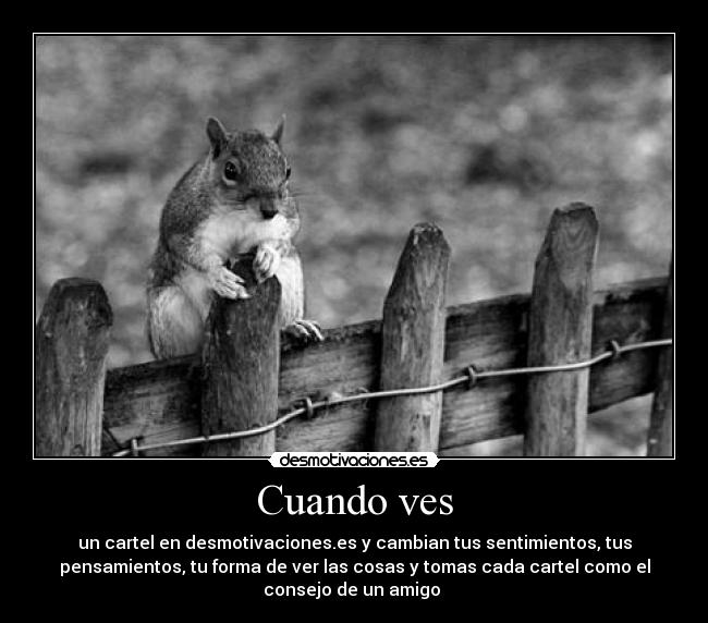 Cuando ves - un cartel en desmotivaciones.es y cambian tus sentimientos, tus
pensamientos, tu forma de ver las cosas y tomas cada cartel como el
consejo de un amigo 