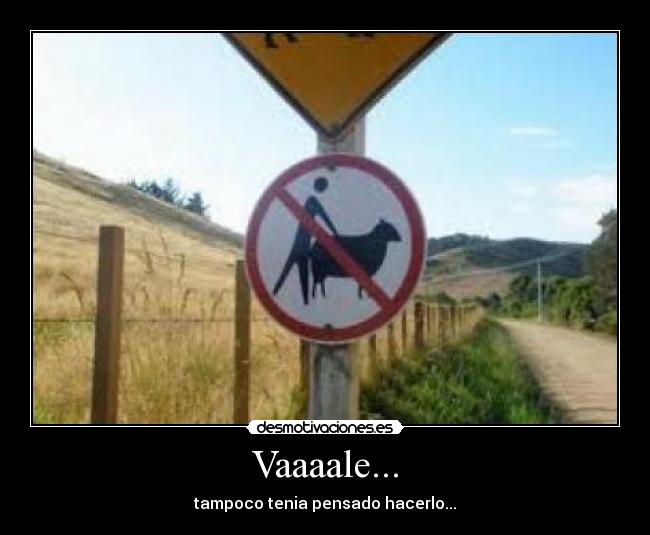 Vaaaale... - 