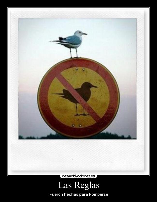 Las Reglas - Fueron hechas para Romperse