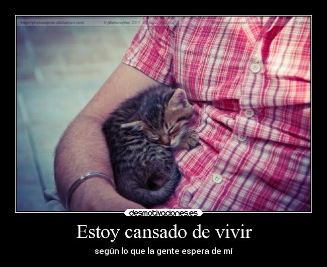 Estoy cansado de vivir - según lo que la gente espera de mí