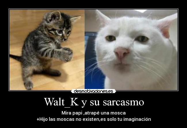 Walt_K y su sarcasmo - Mira papi ,atrapé una mosca
+Hijo las moscas no existen,es solo tu imaginación