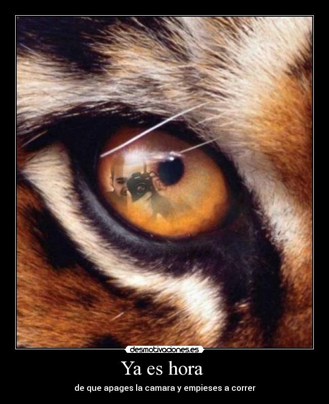 carteles apagarcamaracorrertigre desmotivaciones
