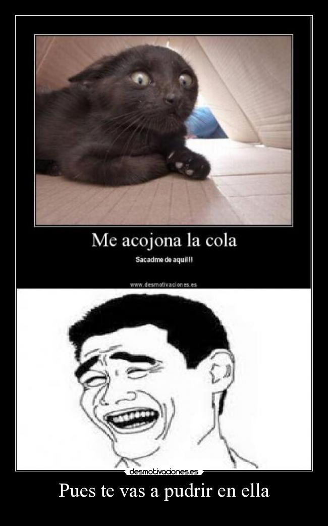 Pues te vas a pudrir en ella -