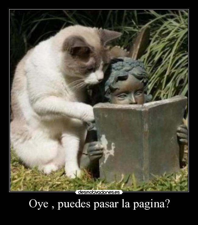 Oye , puedes pasar la pagina? - 