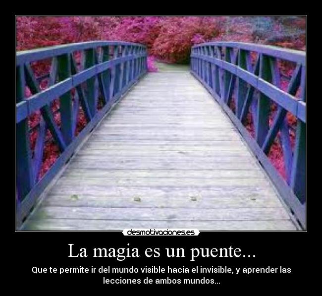 La magia es un puente... -