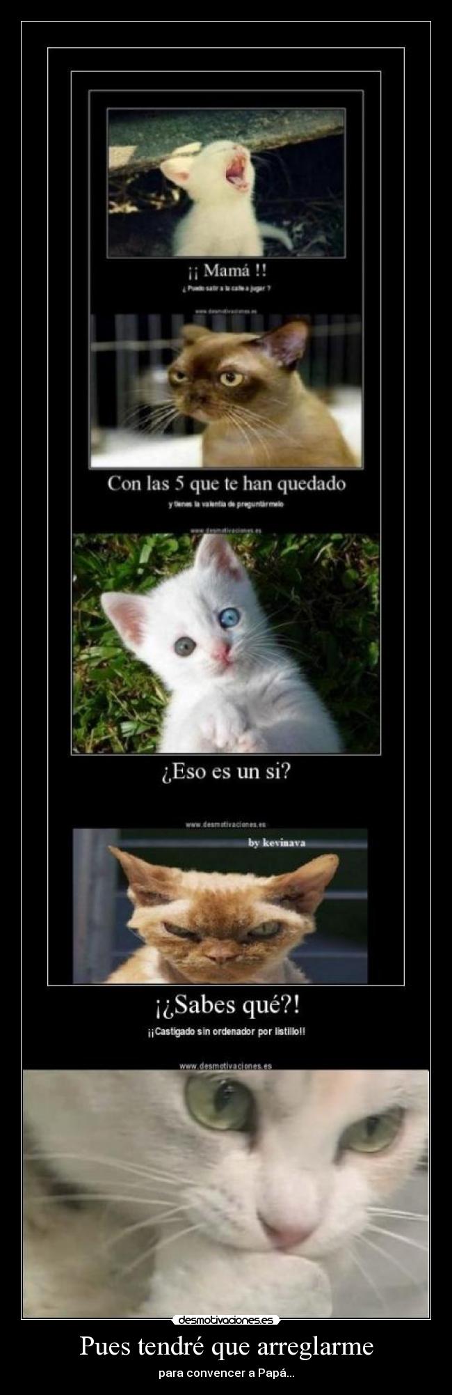 Pues tendré que arreglarme -