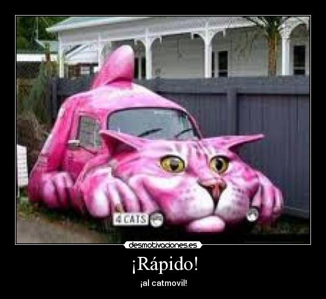 ¡Rápido! - 