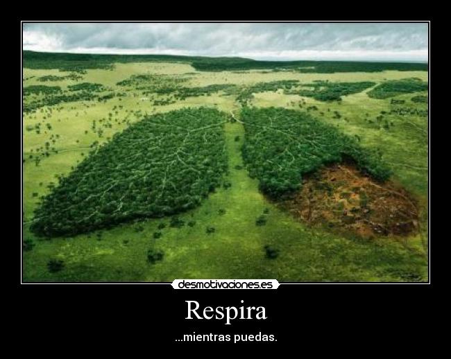 Respira - ...mientras puedas.