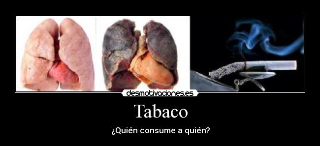 Tabaco - ¿Quién consume a quién?