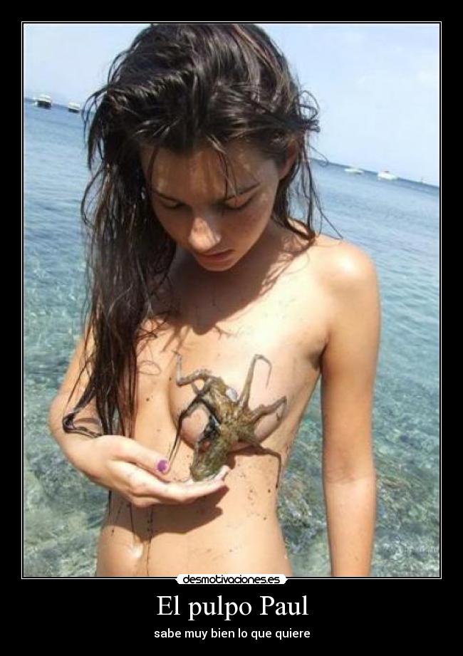El pulpo Paul -