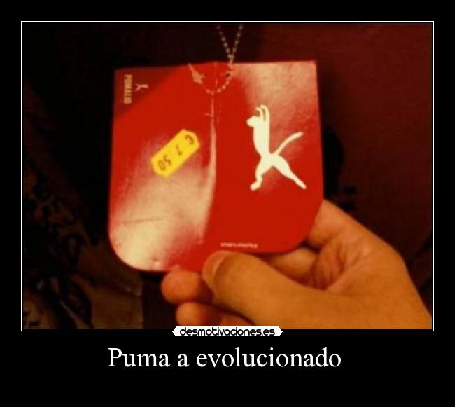 carteles puma desmotivaciones