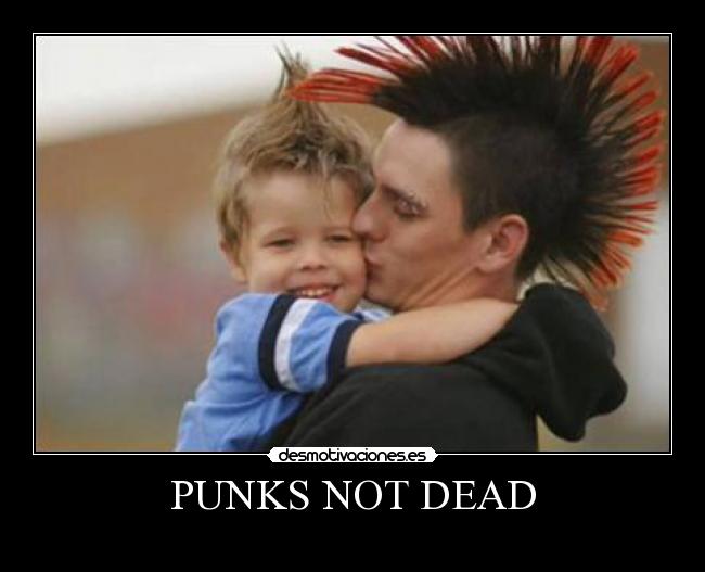 PUNKS NOT DEAD - 
