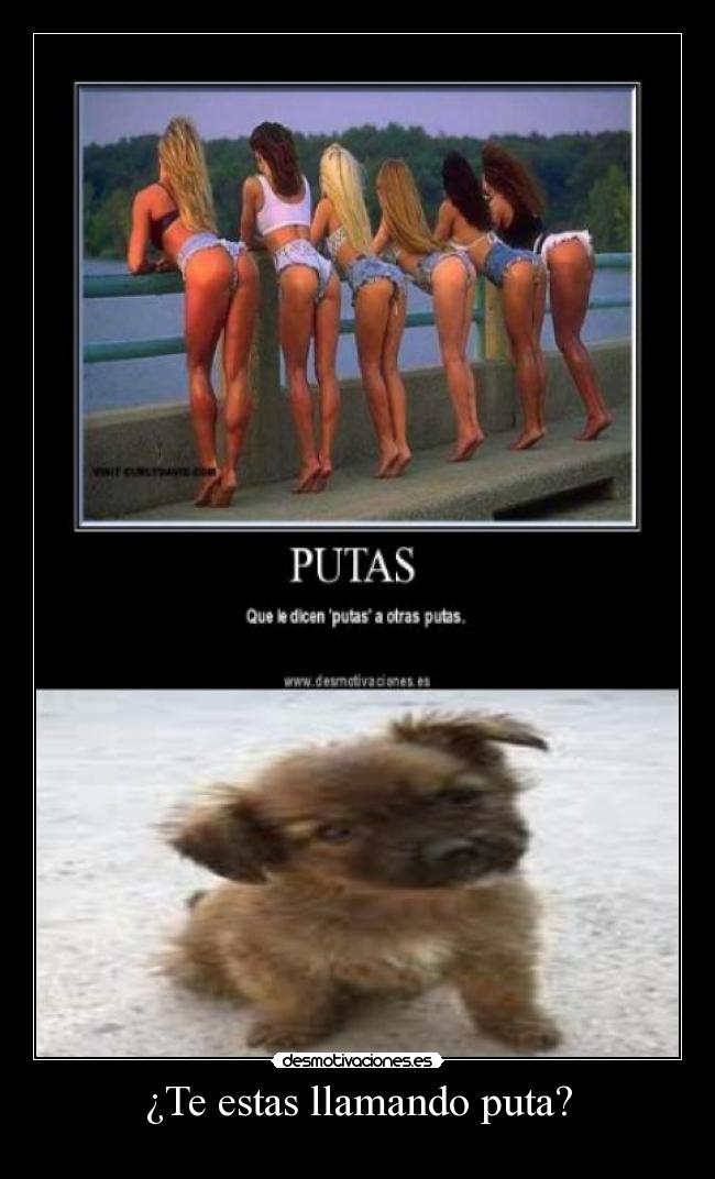 ¿Te estas llamando puta? - 