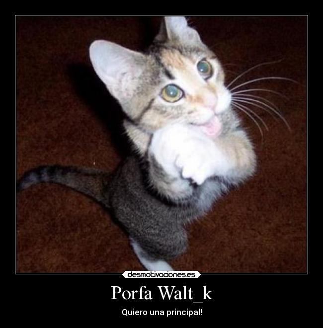 Porfa Walt_k -