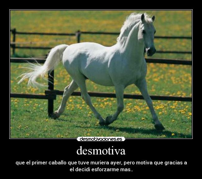 desmotiva - que el primer caballo que tuve muriera ayer, pero motiva que gracias a
el decidi esforzarme mas..