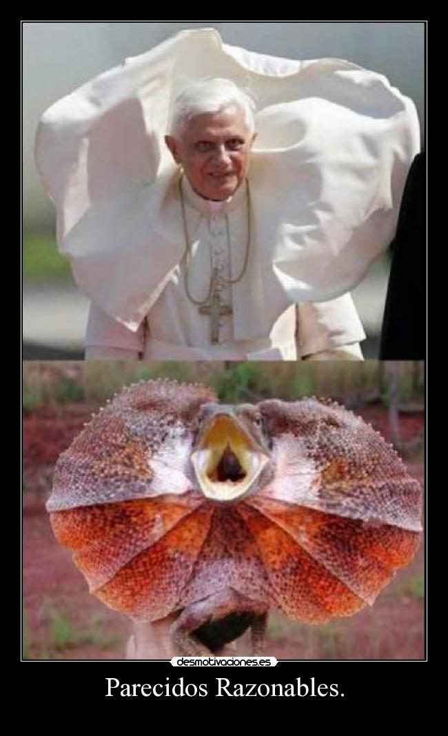 Parecidos Razonables. -