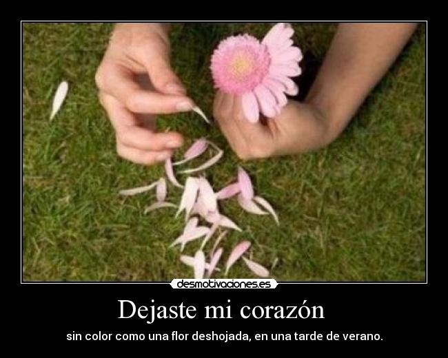 Dejaste mi corazón -