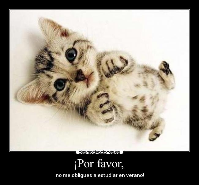 ¡Por favor, - no me obligues a estudiar en verano!