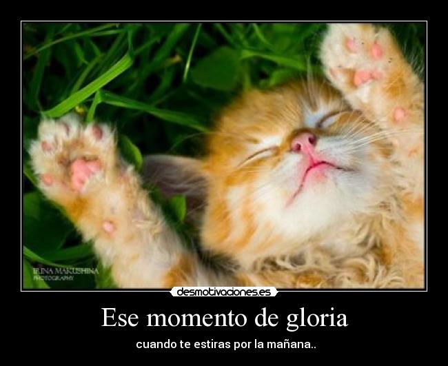 Ese momento de gloria - 