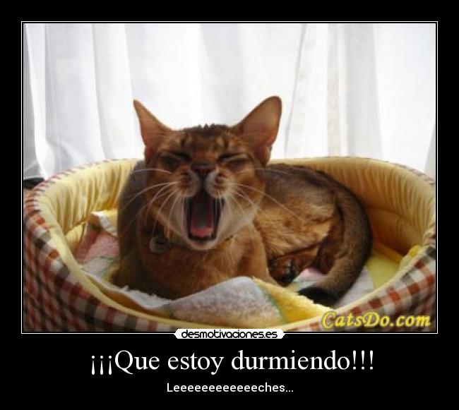 ¡¡¡Que estoy durmiendo!!! - Leeeeeeeeeeeeches...